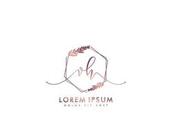 Initial letter VH Feminine logo beauty monogram and elegant logo design, handwriting logo of initial signature, wedding, fashion, floral and botanical with creative template vector