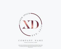inicial letra xd femenino logo belleza monograma y elegante logo diseño, escritura logo de inicial firma, boda, moda, floral y botánico con creativo modelo vector