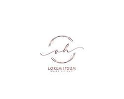 Initial letter VH Feminine logo beauty monogram and elegant logo design, handwriting logo of initial signature, wedding, fashion, floral and botanical with creative template vector
