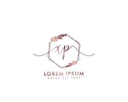 Initial letter XP Feminine logo beauty monogram and elegant logo design, handwriting logo of initial signature, wedding, fashion, floral and botanical with creative template vector