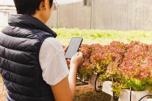 asiático mujer agricultores utilizando móvil trabajando en vegetales hidropónico granja. foto