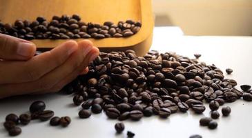 hands holding coffee beans in a scoop photo