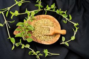 oregano origanum vulgar delicious kitchen herbs photo