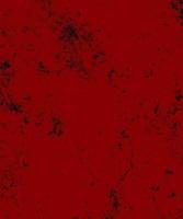 red texture background with black photo