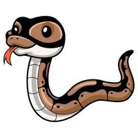 Cute ball python snake cartoon vector