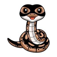 linda pelota pitón serpiente dibujos animados vector