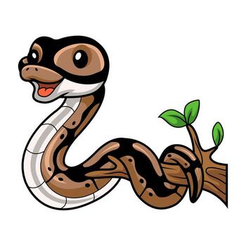 Cute ball python snake cartoon on tree branch vector