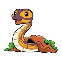 Cute banana ball python snake cartoon out from hole vector