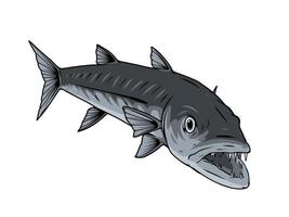 Barracuda fish vector