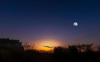 Sunset or sunrise with silhouette of grass and bush and the moon photo