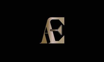Modern letter AE logo design vector