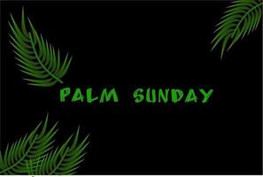 Palm Sunday background with a green leaf theme. Vector illustration