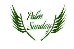 Palm Sunday background with a green leaf theme. Vector illustration