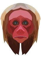 uakari face. The muzzle of a Cacajao monkey is depicted. Bright portrait on a white background. predictive graphics. animal logo. vector