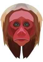 uakari face. The muzzle of a Cacajao monkey is depicted. Bright portrait on a white background. predictive graphics. animal logo. vector