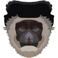 Colobus face. The muzzle of a monkey is depicted. Bright portrait on a white background. predictive graphics. animal logo.