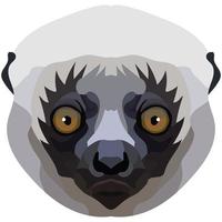 sifaka face. The muzzle of a cute Madagascar mammal is depicted. Bright portrait on a white background. predictive graphics. animal logo. vector