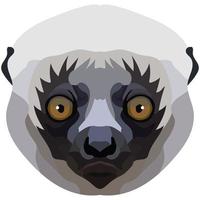 sifaka face. The muzzle of a cute Madagascar mammal is depicted. Bright portrait on a white background. predictive graphics. animal logo. vector