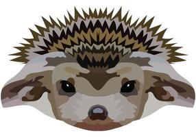 hedgehog face. The muzzle of a spiny mammal is depicted. Bright portrait on a white background. predictive graphics. animal logo. vector