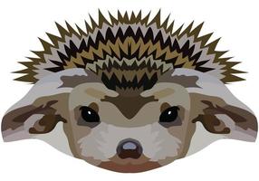 hedgehog face. The muzzle of a spiny mammal is depicted. Bright portrait on a white background. predictive graphics. animal logo. vector