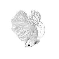 Fighting Fish Tattoo vector