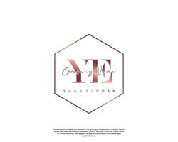 Initial letter YE Feminine logo beauty monogram and elegant logo design, handwriting logo of initial signature, wedding, fashion, floral and botanical with creative template vector