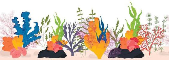Corals and seaweed. Vector Botanical Illustration. Underwater flora, sea plants. Underwater world. Diving.  Kelp.  Seamless pattern, endless ornament, horizontal border.