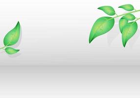 realista verde hojas aislado en un blanco antecedentes con gotas de Rocío. para tarjeta postal, tarjeta, invitación, póster, bandera modelo letras tipografía. vector ilustración