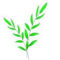 Branch with green leaves. For fabrics, background , wall paper, wrapping, poster or banner, cover or leaves. Vector illustration