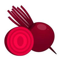 Beetroot Is A Fruit That Has A Sweet Taste. This Fruit Has Many Health Benefits vector