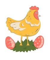 Easter chicken with eggs vector