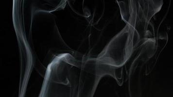 slow motion av vit rök, dimma, dimma, ånga på en svart bakgrund. video
