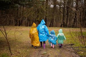 posterior ver de madre y Tres niños caminando en el bosque después lluvia en impermeables juntos. foto