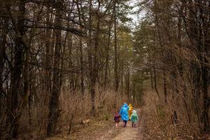 Rear view of mother and three children walking in the forest after rain in raincoats together. photo