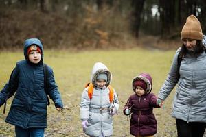 madre con niños participación sauce leña menuda mientras de viaje en bosque. foto