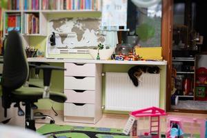 Cat lies on a heating radiator on a cold day at kids room. photo