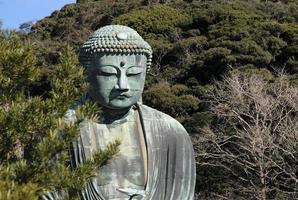 Giant buddha in Kamakura, Japan photo