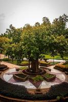 park in autumn photo