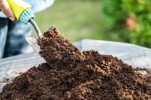 Gardener woman holding peat moss organic matter improve soil for agriculture organic plant growing, ecology concept. photo