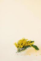 Bouquet of yellow mimosa flowers in a decorative bicycle vase on a beige background. The concept of Women's Day or Mother's Day with a copy space photo