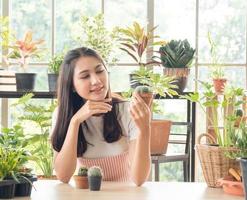 Portrait beautiful woman smiling Asian bastard Thai-Chinese long black hair wearing white T-shirt. Pink apron With hand holding small tree pot inside room, arranged in white beautiful happy relax photo