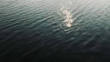 mer vague, lent mouvement, l'eau Contexte video