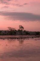 mojado campo con bajo ángulo ver foto