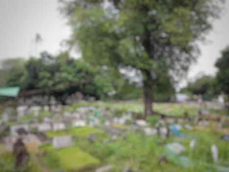 Defocused abstract blurred background of public cemetery photo