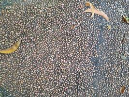 Smooth round pebbles texture background. Pebble sea beach close-up, dark wet pebble and gray dry pebble photo