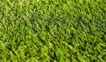 industrial style Artificial grass texture photo