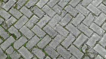 The landscape wallpaper features a block paving theme, with moss growing around the paving blocks photo