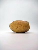 potato, isolated in white background photo