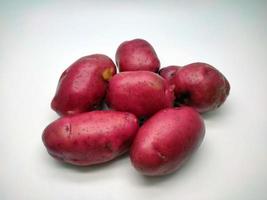 Red potato, isolated on white background photo