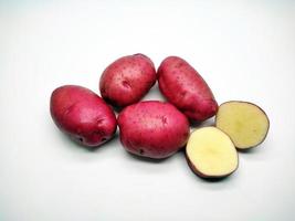 Red potato isolated on white background photo